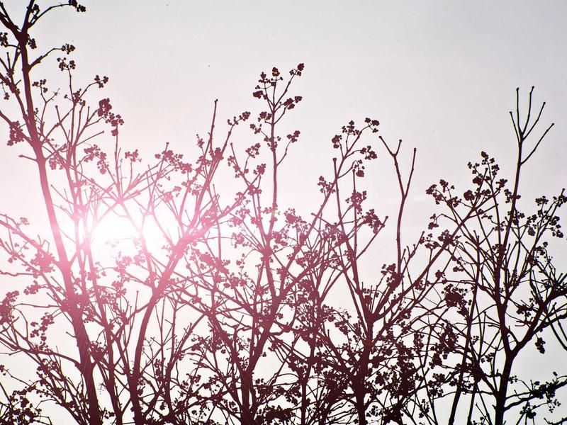 sudoku number placement screenshot 6