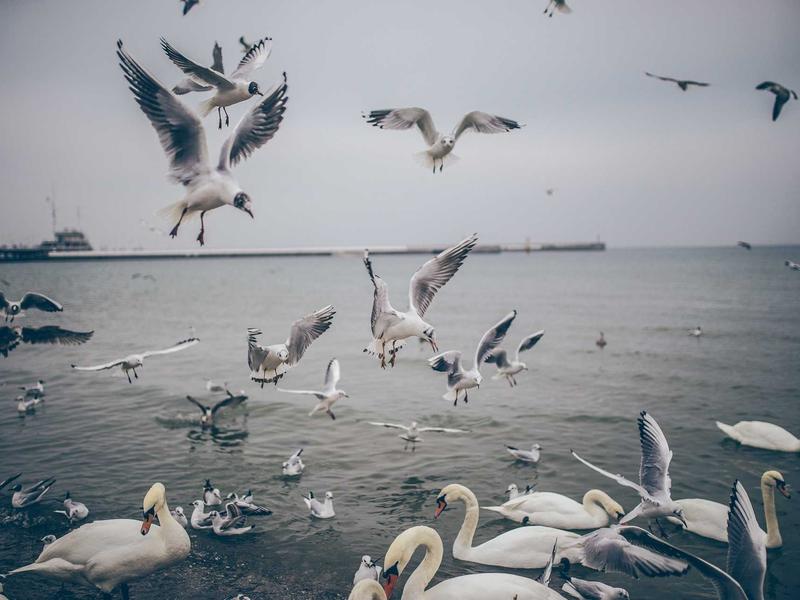 sudoku number placement screenshot 1